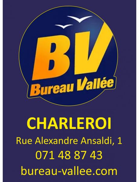 logo-bv
